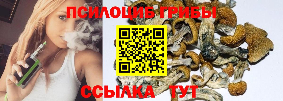 Галлюциногенные грибы Cubensis  Галлюциногенные грибы MAGIC MUSHROOMS  Вход с VPN  Мирный 